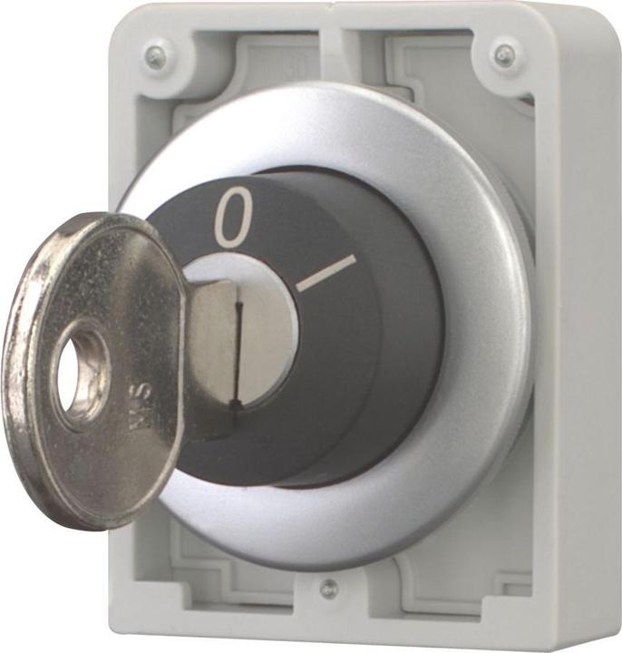 Immagine prodotto Eaton Chiave-operatore atto 30mm piatto 2 pos maint