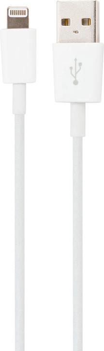 Actual product image Xqisit Charge & Sync Lightning Cable (1 m, USB 2.0)