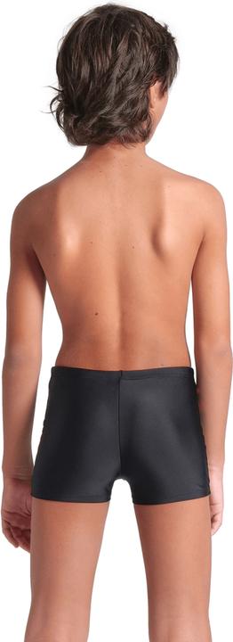 Actual product image Arena B Rhythm Swim Short (116)