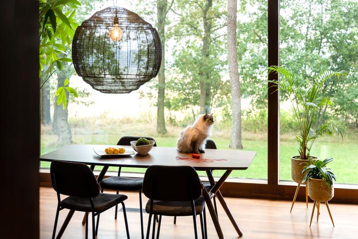 Image du produit Dutchbone Lamp (E27)