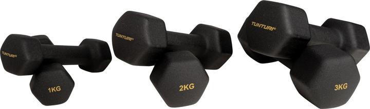 Actual product image Tunturi Centuri Neopren Kurzhantelset mit Ständer (2 x 1 kg, 2 x 2 kg, 2 x 3 kg)