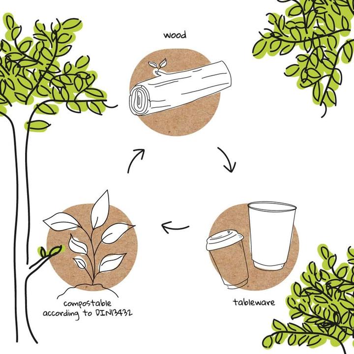 Produktbild Biozoyg Kompostierbare Löffel aus Bio-Kunststoff (60 Stk.) (60 x)