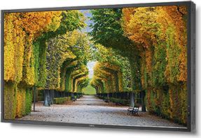 Digital Signage