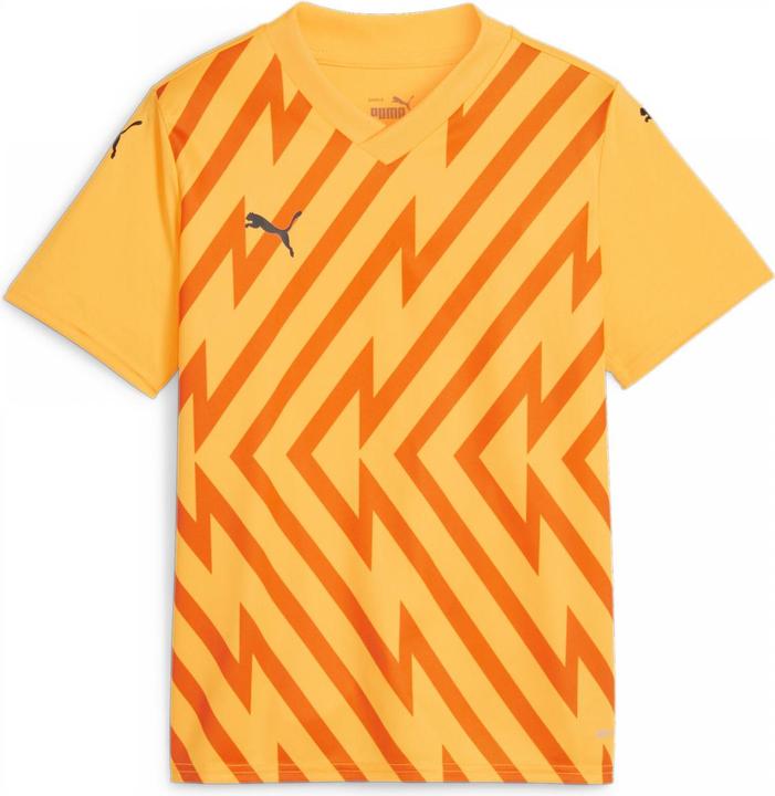 Produktbild Puma teamGLORY Jersey Jr (164)