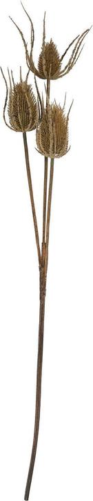 Image du produit Hill Interiors Kunstblume Dreifach (85 cm)