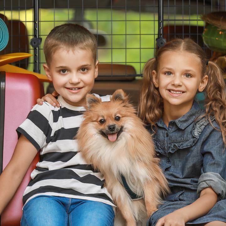 Produktbild Relaxdays Hundegitter Auto (Hund, Reflektoren)