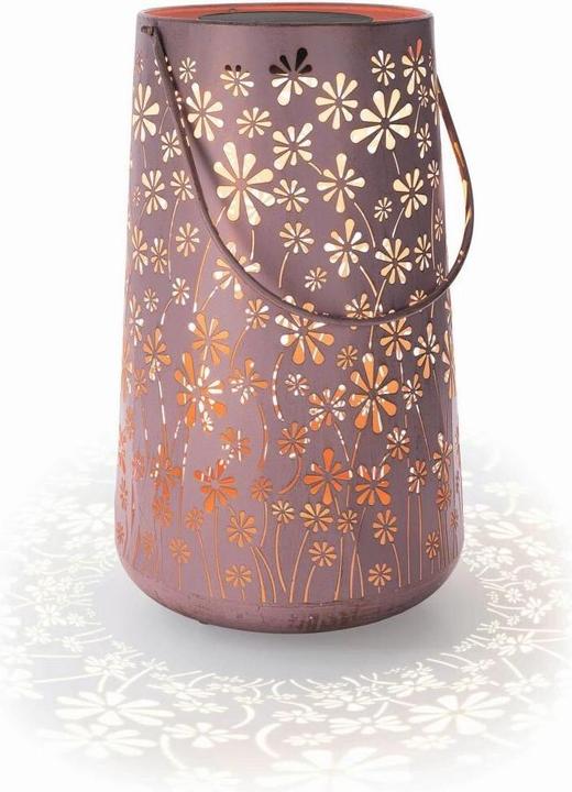 Actual product image STT Antic Daisy