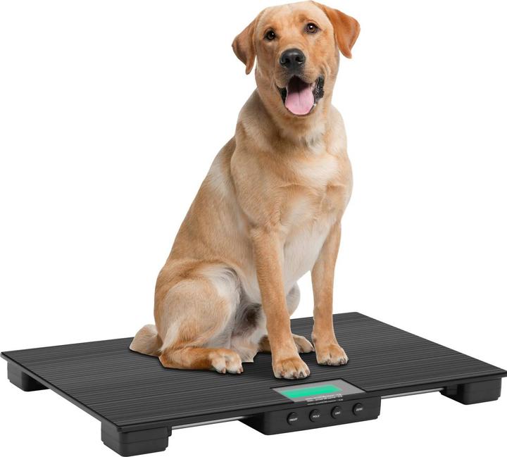 Actual product image Steinberg Animal Scale - 30 kg / 10 g - Anti-slip mat - LCD