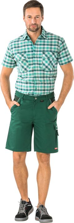 Green/green