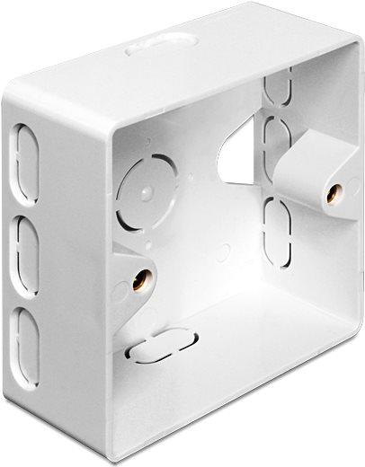 Productafbeelding Delock Achterkast - Installatiekast Netwerkinterface (Netwerk accessoires)