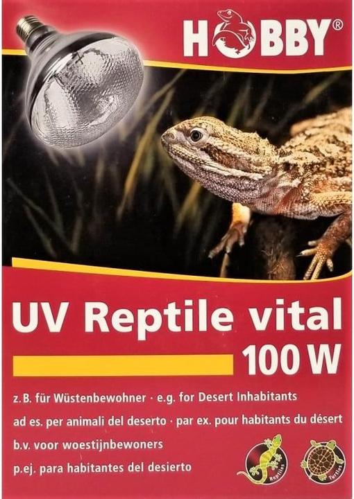 Actual product image Hobby Terrarium lamp UV Reptile vital, E27, 100 W (UVA, UVB)