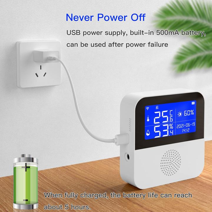 Actual product image Haozee WiFi temperature sensor