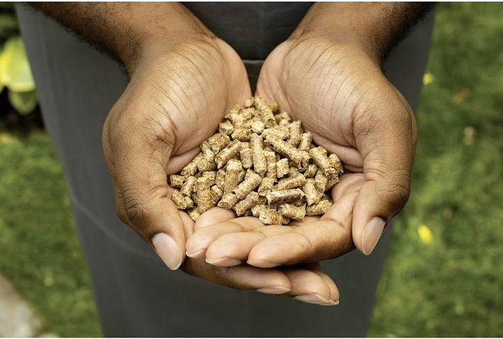 Productafbeelding Ninja Woodfire Pellets Robust Blend (0.90 kg)