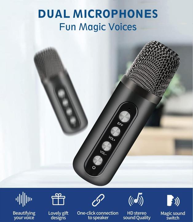 Actual product image Easjoy Karaoke system