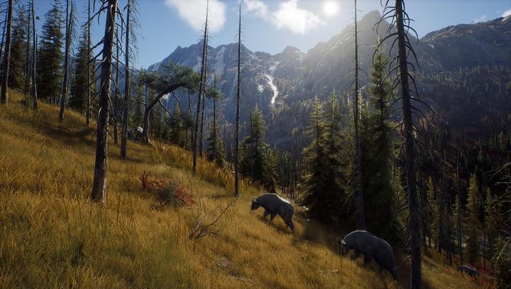 Immagine prodotto THQ Via del cacciatore (PC, EN)