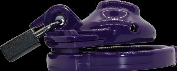 Actual product image The Vice Chastity Cage Clitty