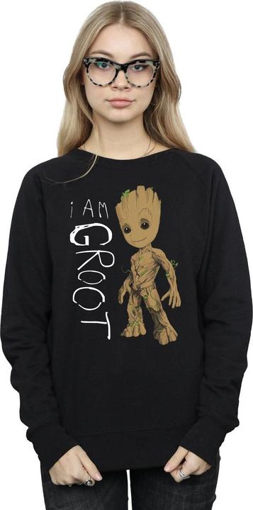 Produktbild Guardians Of The Galaxy I Am Groot Scribbles Sweatshirt (XXL)