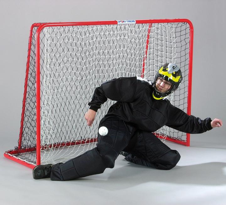 Image du produit Sport-Thieme But de compétition unihockey 160x115 cm