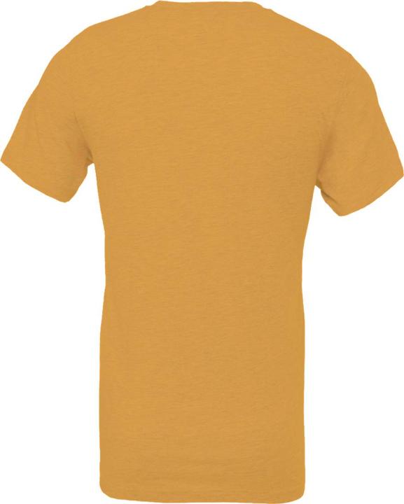 Produktbild Bella Canvas TShirt Erwachsene (L)