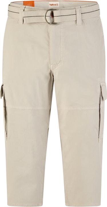 Hattric Cargo Shorts (30)