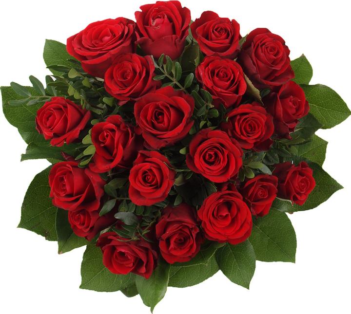 Floramall 20 rose rosse (Fiori recisi)