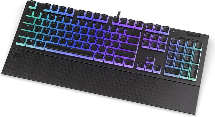Actual product image Endorfy Omnis keyboard USB QWERTY Black (Eng. Int., Cable)