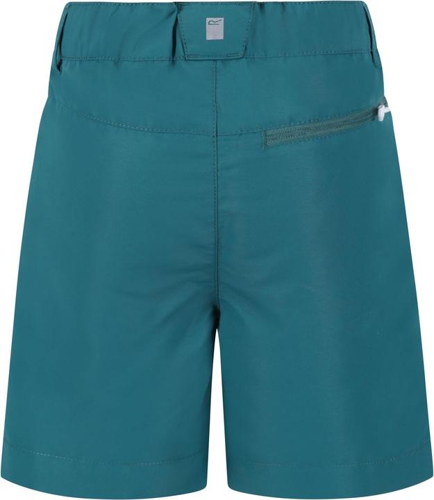Produktbild Regatta Sorcer II Shorts (170)