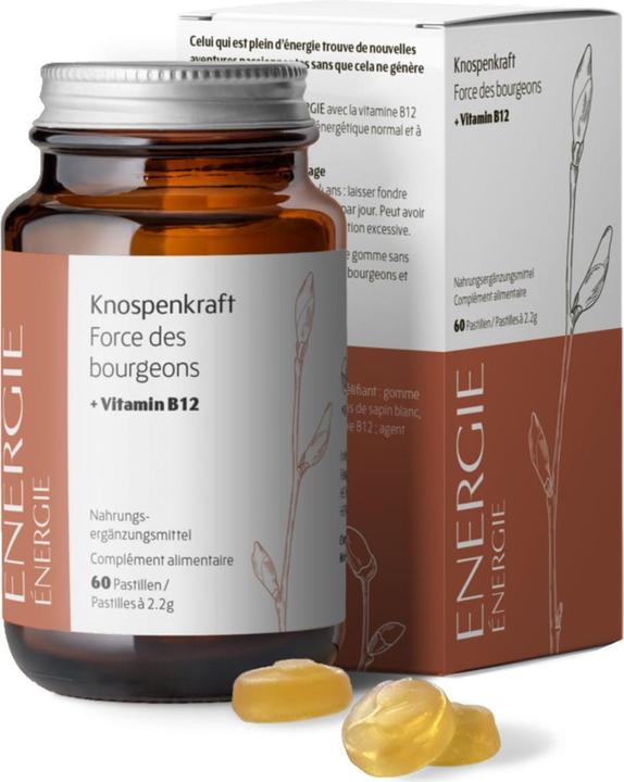 Actual product image Heidak Knospenkraft Pastillen Energie (60 Piece, Pastilles, 287 g)