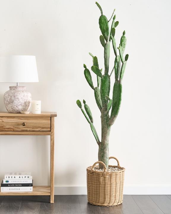 Produktbild Beliani Opuntia Cactus (150 cm)