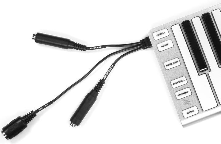 Image du produit ESI Audiotechnik Xkey37 (Clavier)