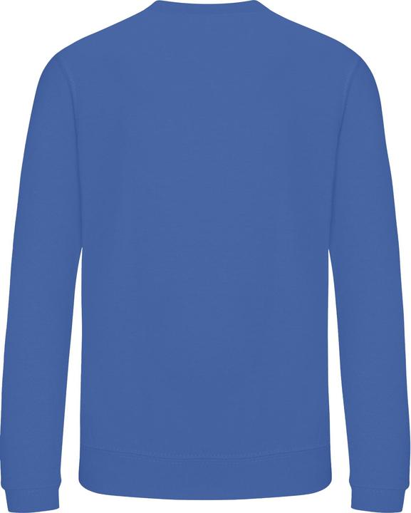 Bleu roi clair