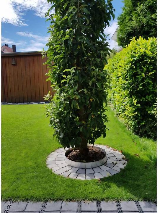 Produktbild Green Split Baumring aus Alu Höhe 100 mm Durchmesser 0.8 m (100 cm)
