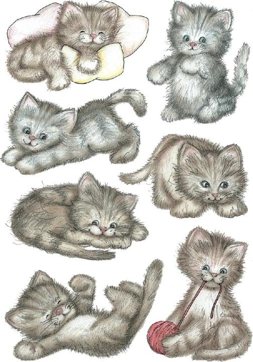Actual product image HERMA Sticker cats