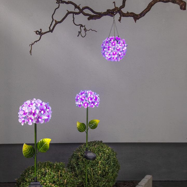 Actual product image Star Trading Hortensia (IP44)