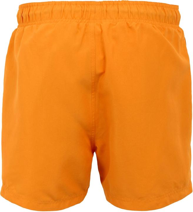 Produktbild Regatta Mawson II Kurze Hose (XXL)