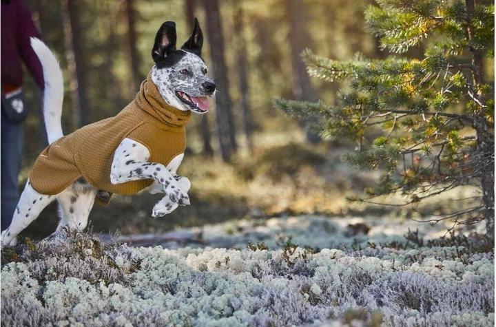 Actual product image Hurtta Winter Coat Warming Midlayer ECO, 40, Mustard (40, Dog coat)
