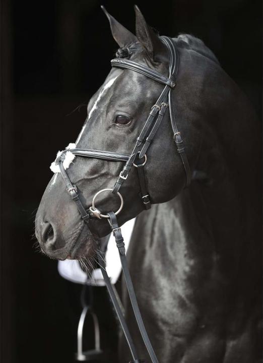 Actual product image Kerbl Snaffle bridle Cancun black, Cob