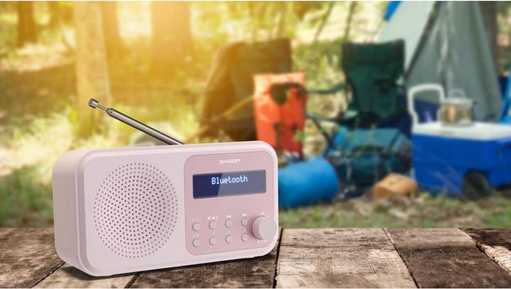 Immagine prodotto Sharp DR-P420 (DAB, FM, Bluetooth)