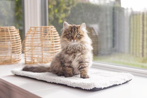 Produktbild Beeztees Fensterbankmatte Moos (Katze)
