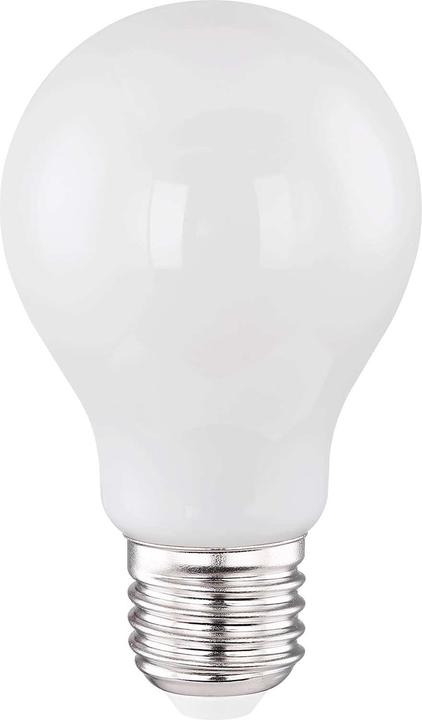 Globo LED Leuchtmittel silber metallic 1xE27 LED (E27, 6.50 W, 10 x, F)