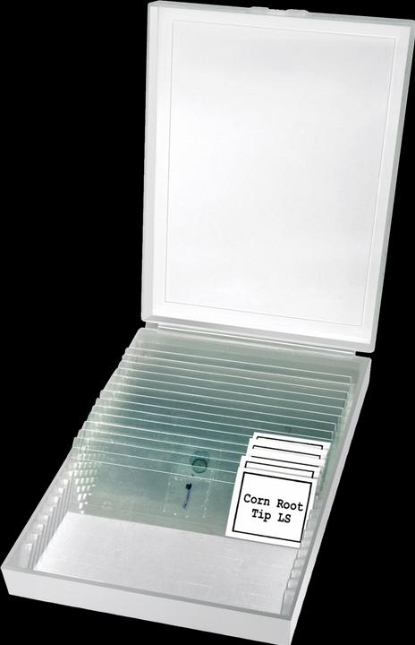 Produktbild Bresser Erudit Basic 40x-400x Mono Mikroskop (23)