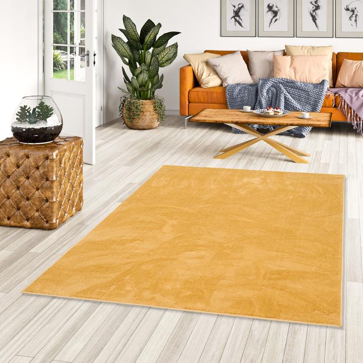 Produktbild Snapstyle Luxus Super Soft Hochflor Langflor Teppich Deluxe (200 x 300 cm)