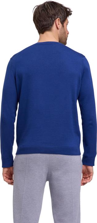 Actual product image Falke FAV Cotton V-Neck m (M)