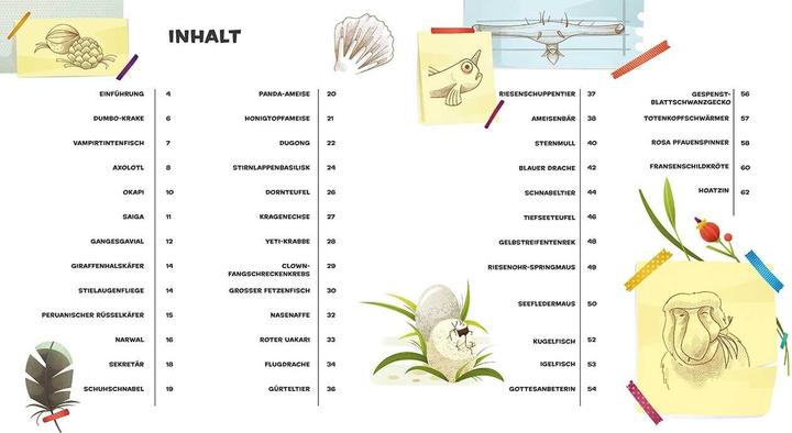 Actual product image National Geographic Besonders und wunderbar: Tiere (German, Cristina Banfi, 2021)