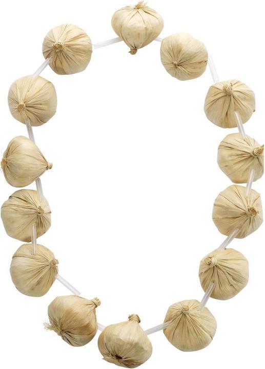 Produktbild Smiffys Knoblauch Kette mit 14 Zehen / Knollen
