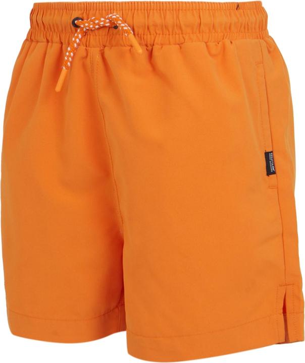 Actual product image Regatta Childrens/Kids Skander III Plain Swim Shorts (164)