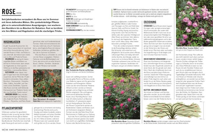 Produktbild Grünes Gartenwissen. Pflanzen richtig schneiden (Deutsch, Reinhard Ferstl, Stephanie Mahon, DK Verlag, 2022)
