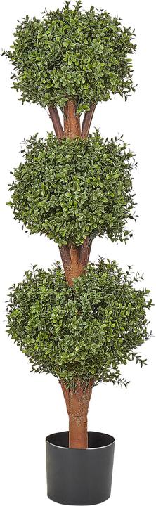 Image du produit Beliani BUXUS BALL TREE (120 cm)