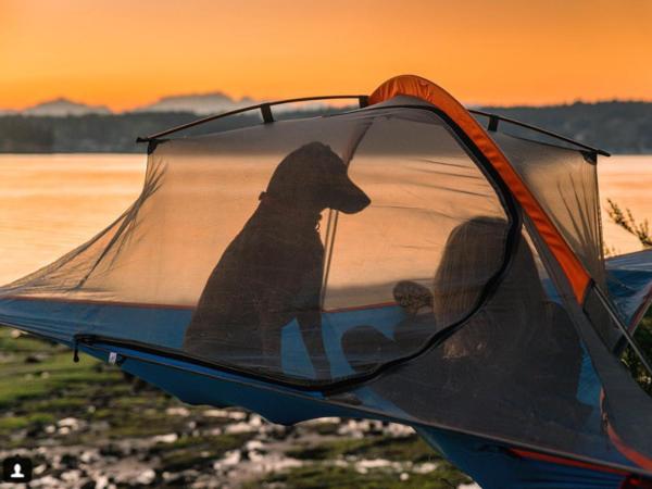 Image du produit Tentsile Flite+ (Tente d'arbre, 3.20 kg, 2 personnes)