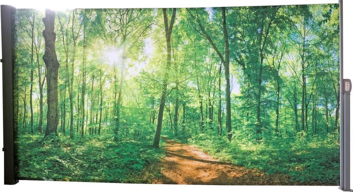 Image du produit Garden Pleasure Store latéral Clairière multicolore 160,0 x 300,0 cm (0.09 m)